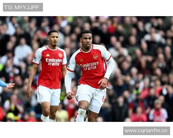 莱斯费迪南德点评阿森纳表现不足比分却显五星级水准