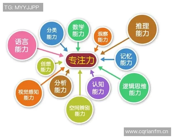 弗拉格：始终保持高能量与专注力的成功秘诀与实践经验分享