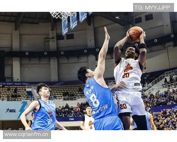 探索贵州猛龙篮球俱乐部的成长与挑战第八期球队巡礼